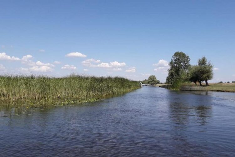 Locul care uimește o lume întreagă. De ce Delta Dunării este supranumită „Amazonul Europei”