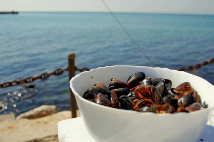 Liber la pescuitul scoicilor și rapanelor din Marea Neagră. Care este nivelul de toxicitate