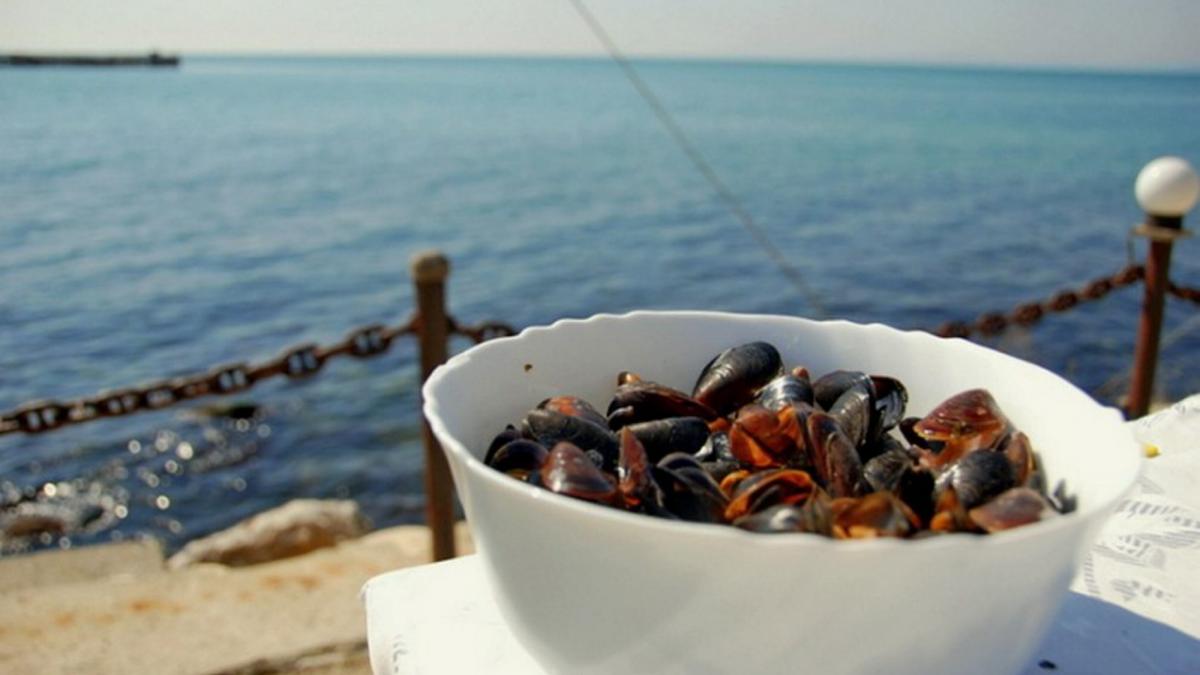 Liber la pescuitul scoicilor și rapanelor din Marea Neagră. Care este nivelul de toxicitate