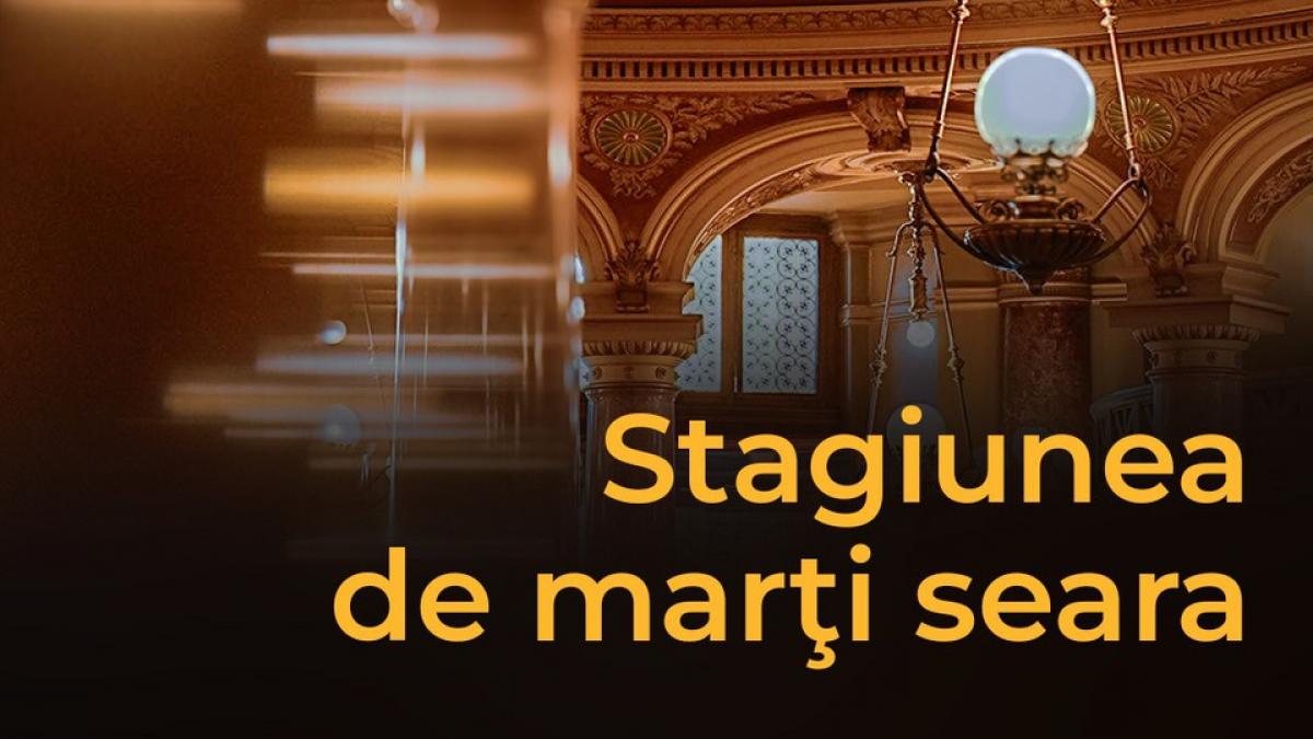 Stagiunea de marți seara. Recital cameral. Liviu-Lucian Albu