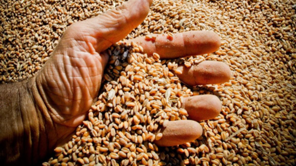 Un bărbat a murit după ce a căzut într-un buncăr cu cereale, la 30 de metri