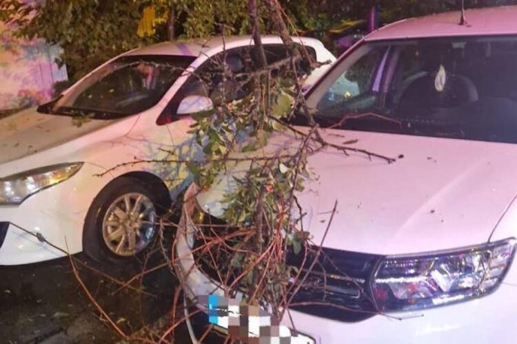 Mai mulți copaci au căzut în Capitală din cauza furtunii