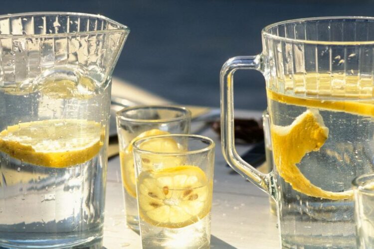 Devon Lemonade, limonada perfectă pentru adulți