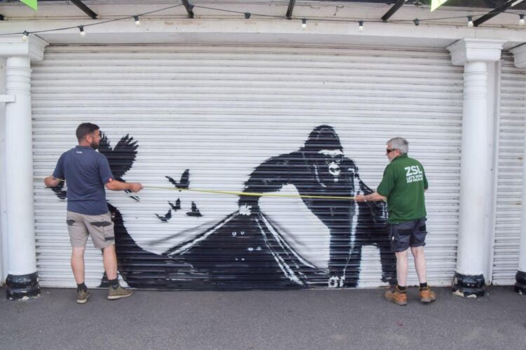 Opera cu gorilă a celebrului Banksy, îndepărtată de la grădina zoologică din Londra