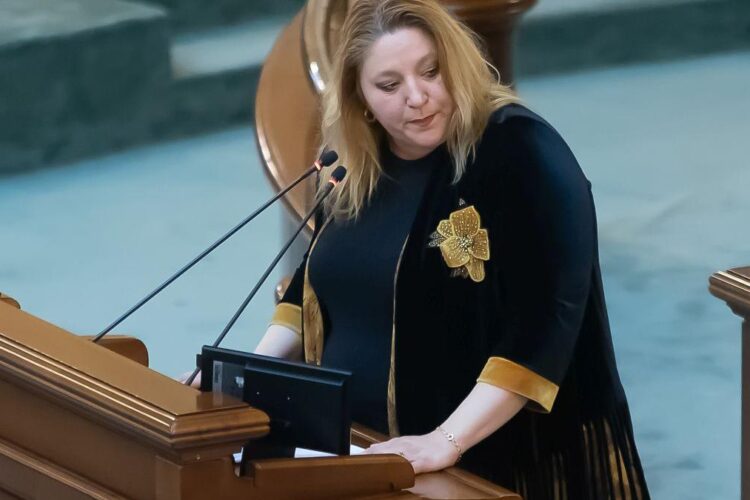 BEC a respins a doua candidatură a Dianei Șoșoacă