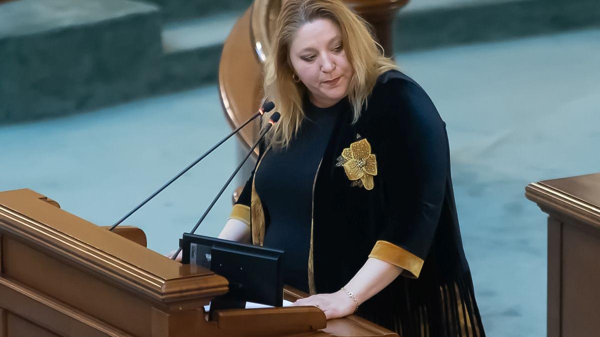 BEC a respins a doua candidatură a Dianei Șoșoacă
