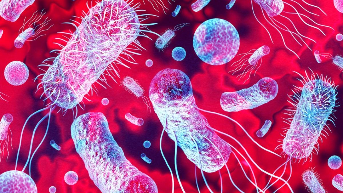 Creștere alarmantă a infecțiilor care nu mai răspund la medicamente: cu 40% în ultimii 5 ani
