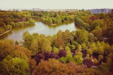 Noi defrișări în Sectorul 3. Locuitorii din Titan cer oprirea „măcelului” spațiilor verzi