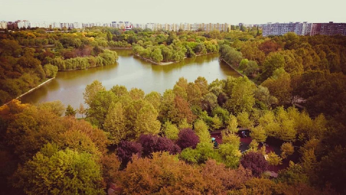 Noi defrișări în Sectorul 3. Locuitorii din Titan cer oprirea „măcelului” spațiilor verzi