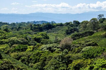 Costa Rica. Țara care își face cafeaua singură