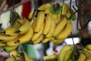 România exportă banane de milioane de euro