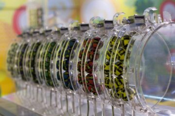 Rezultate LOTO 6/49 19 februarie 2026. Numerele câștigătoare la extragerea de joi