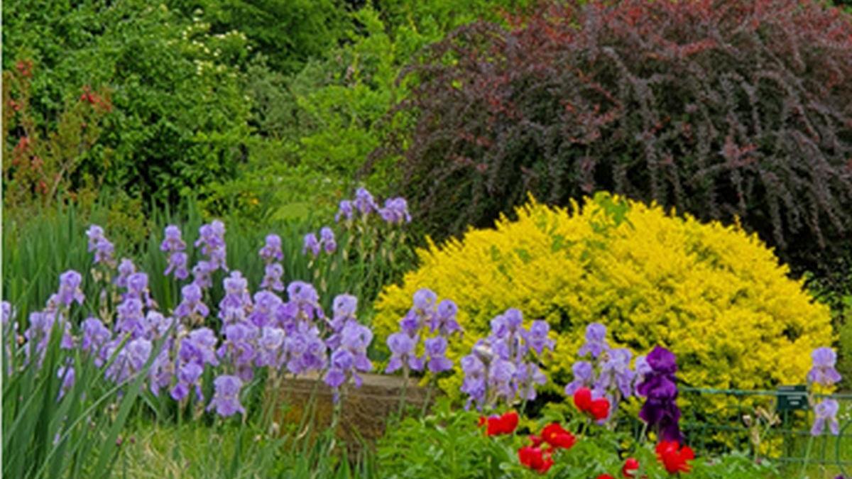 Joi se ating 20 de grade, dar weekendul aduce o răcire bruscă de 7 grade