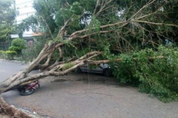 Avertizare METEO imediată de vânt puternic. Iată lista localităților afectate