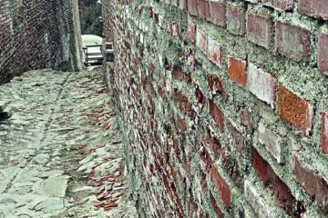 Poenari, în topul scandalurilor de renovare, după Râșnov și Curtea Domnească. Cetatea lui Vlad Țepeș, distrusă de Dorel și cucerită de urși