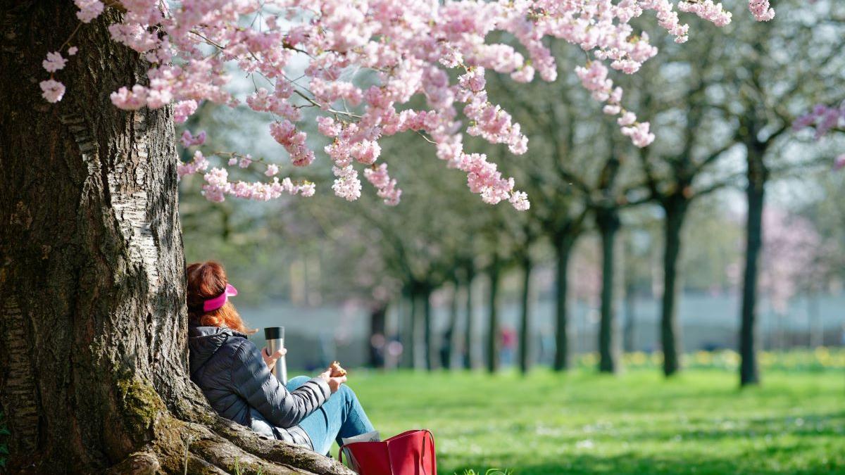 Sezonul Berbecului 2026 vine cu răsturnări de situație pentru toate zodiile