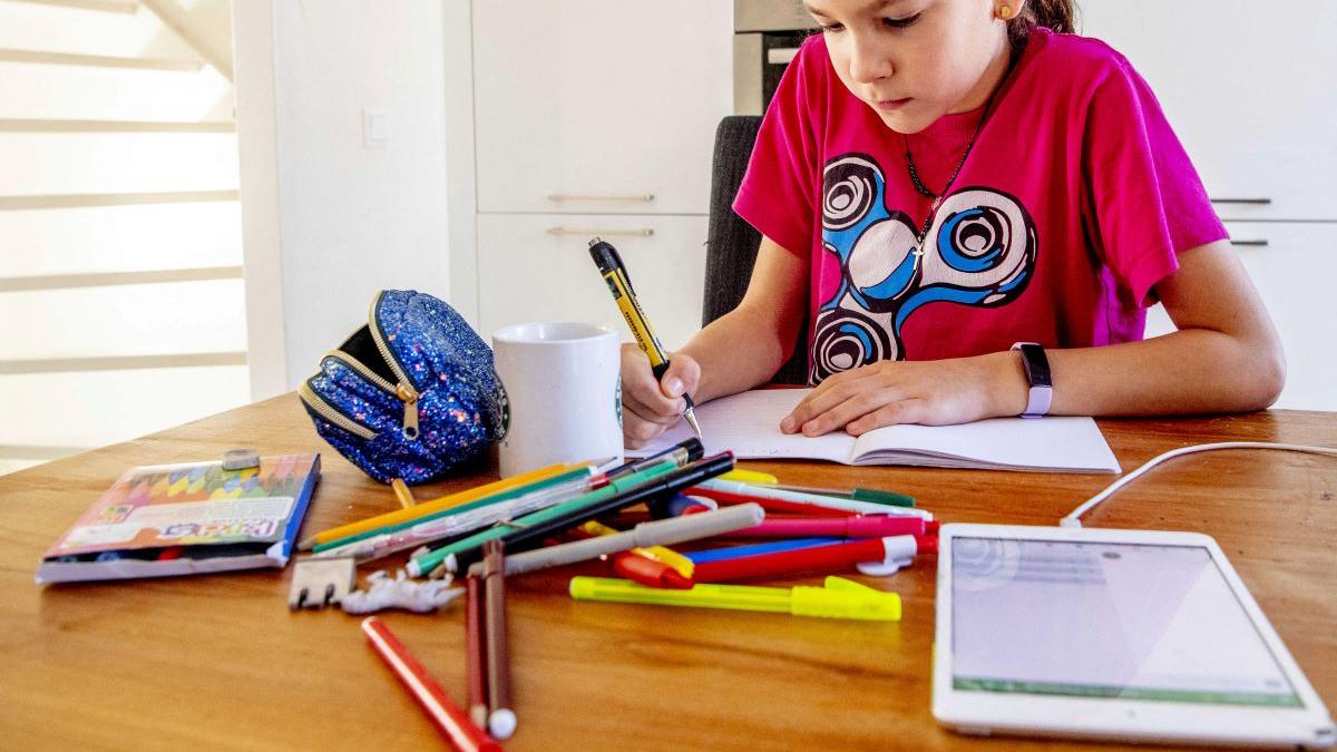 Limba română: Ce înseamnă cuvântul „militant”