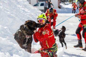 Cum se pregătesc câinii și salvatorii montani pentru avalanșe