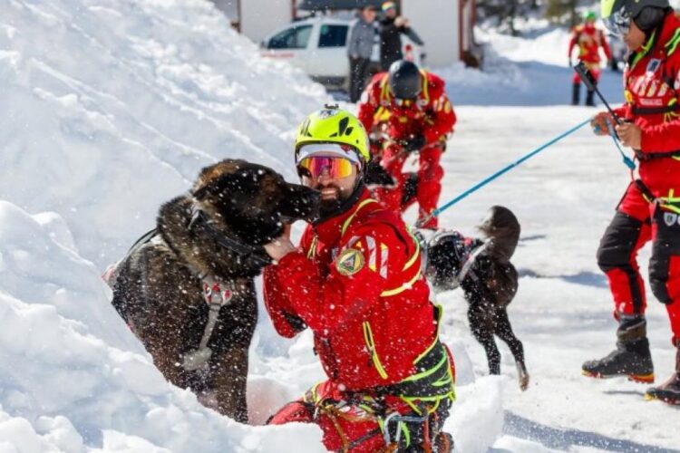 Cum se pregătesc câinii și salvatorii montani pentru avalanșe