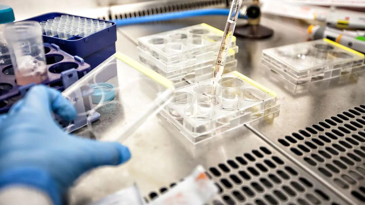 Descoperirea care schimbă tratamentul cancerului