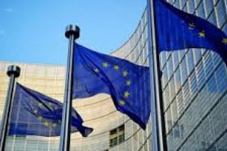 Nicușor Dan, la masa liderilor UE cu un meniu de 5 stele bazat pe vițel și țelină