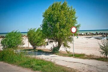 Cadavrul unui animal pe plaja Modern