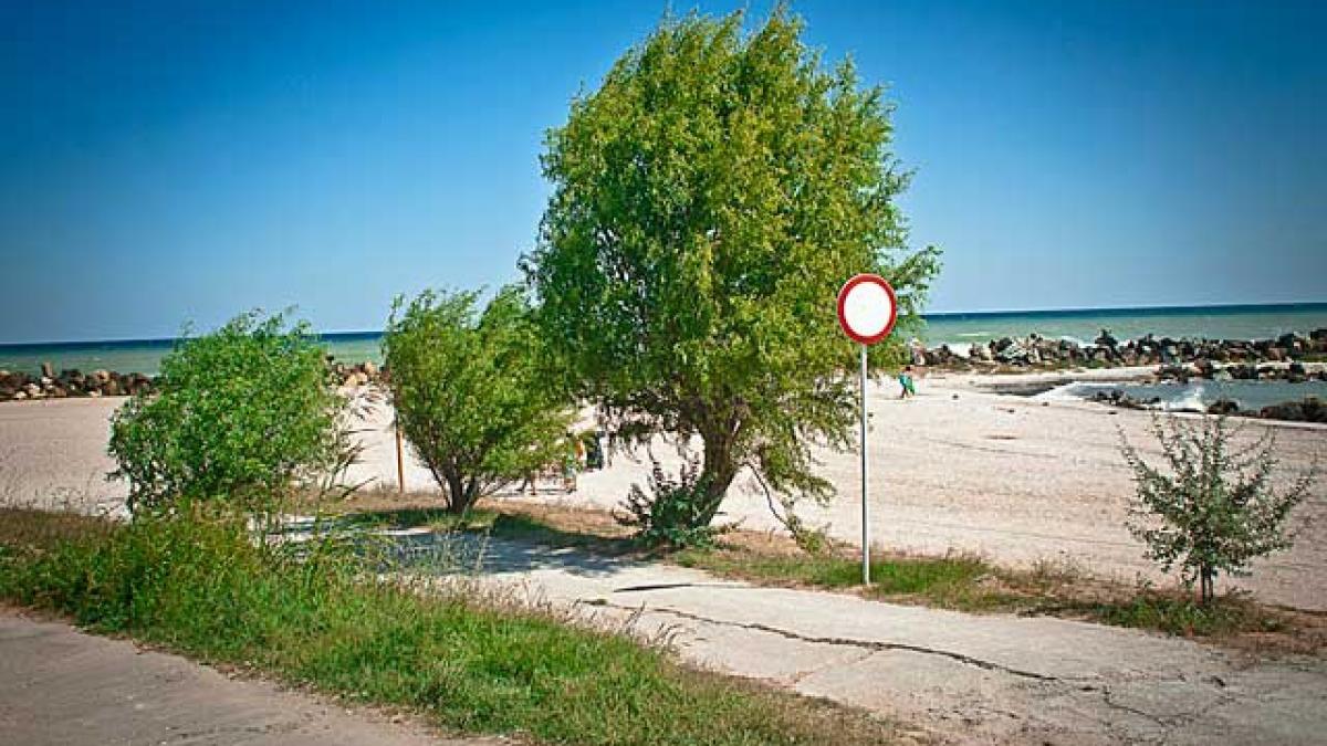 Cadavrul unui animal pe plaja Modern