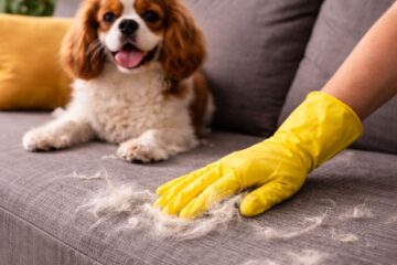 Trucul cu mănușa de cauciuc