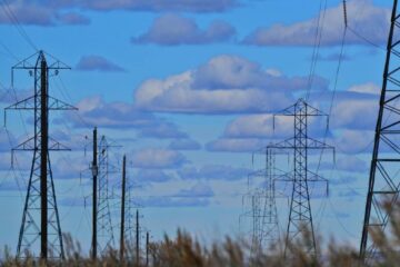 Producția a scăzut pe unele segmente cheie, în februarie 2026