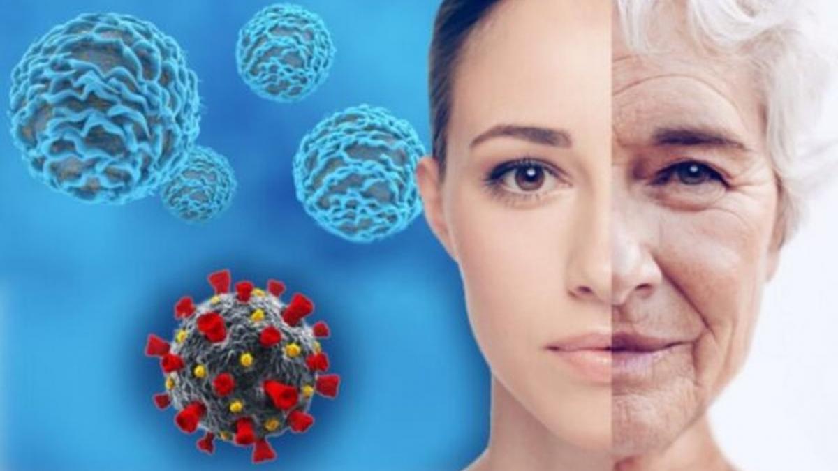 Cum (și cât) determină genele longevitatea