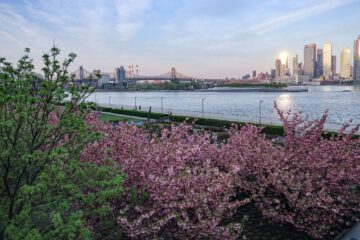 ziua în care destinul le schimbă radical viața