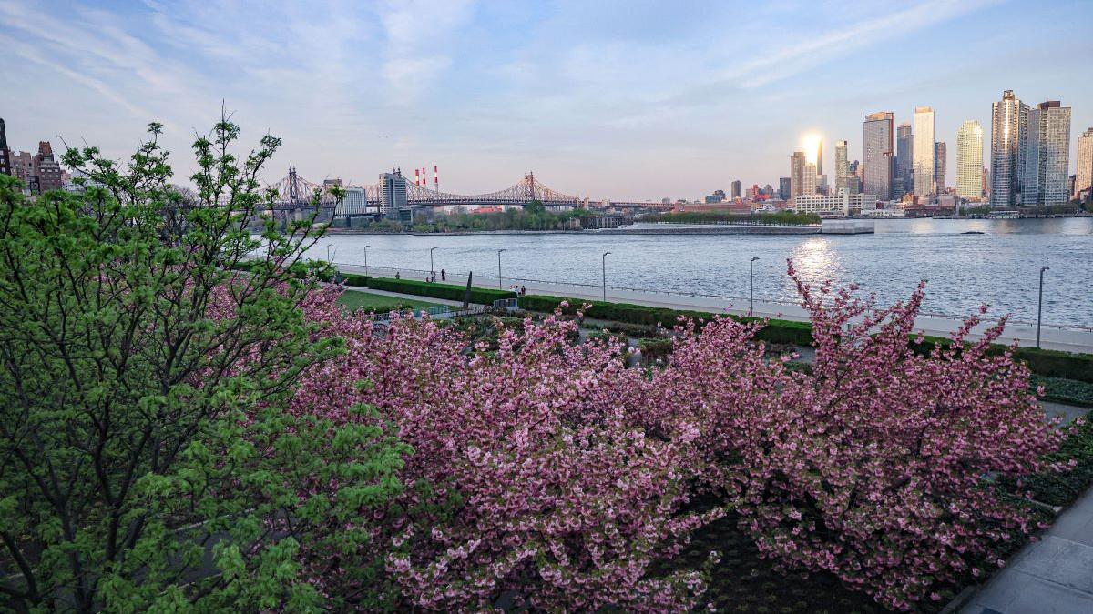 ziua în care destinul le schimbă radical viața