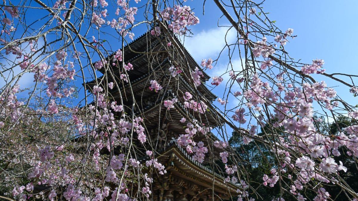 Cinci zodii strălucesc sub Luna în Săgetător și Soarele în Berbec!