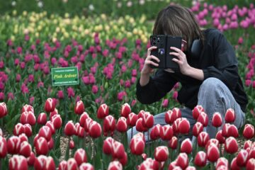 ziua marilor schimbări pentru toate zodiile