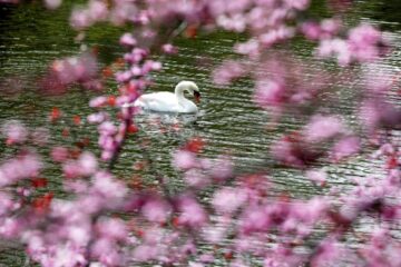 cine câștigă și cine trebuie să o ia de la capăt