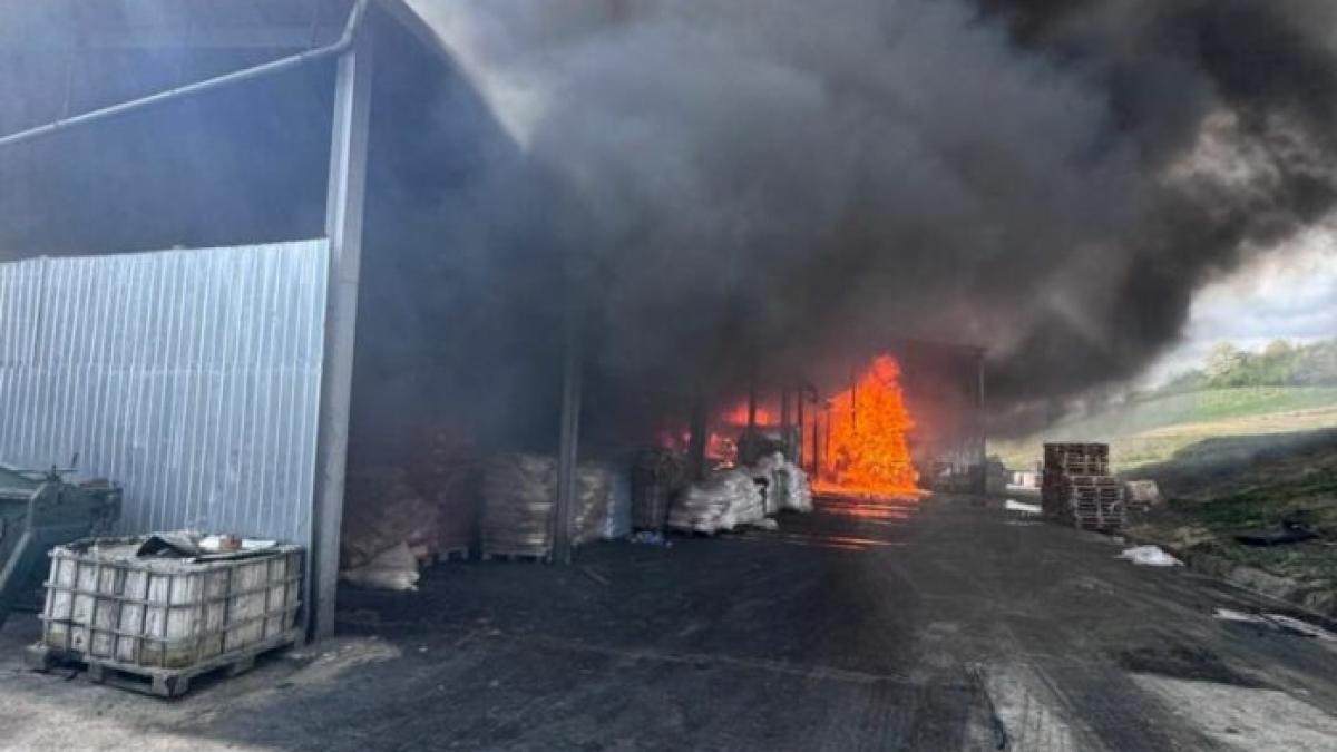 10 autospeciale intervin pentru a stinge un incendiu generalizat la o hală industrială.