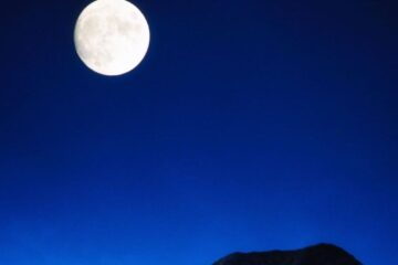 zodiile care trec printr-un reset total al vieții