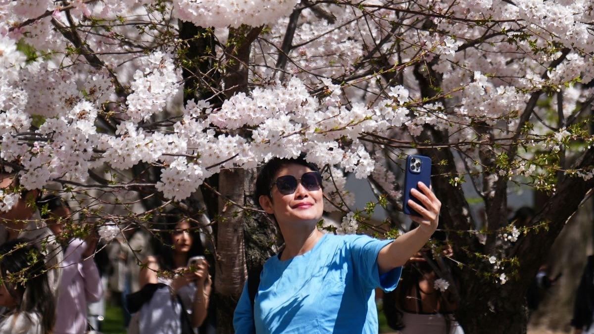 Lunile de naștere care își pun singure piedici în această săptămână. Află dacă ești pe listă