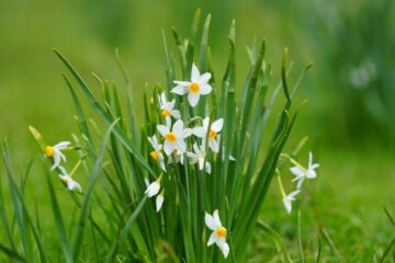 Mercur în Taur aduce claritate și decizii decisive