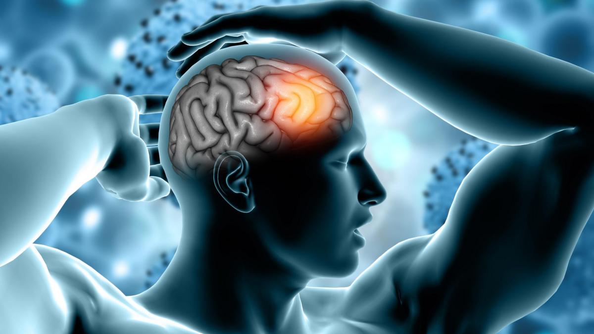 Modul în care funcționează sistemul de navigație al creierului uman