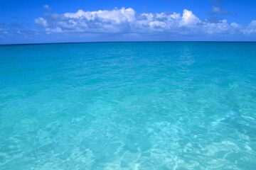 Oceanele au atins în martie temperatura unui record absolut