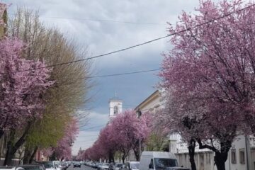 Orașul din România unde mergi toată ziua cu doar 1 leu!