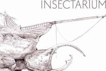 ​​​​​​​Expoziția „Insectarium” – un nou eveniment la Muzeul Național de Artă Timișoara
