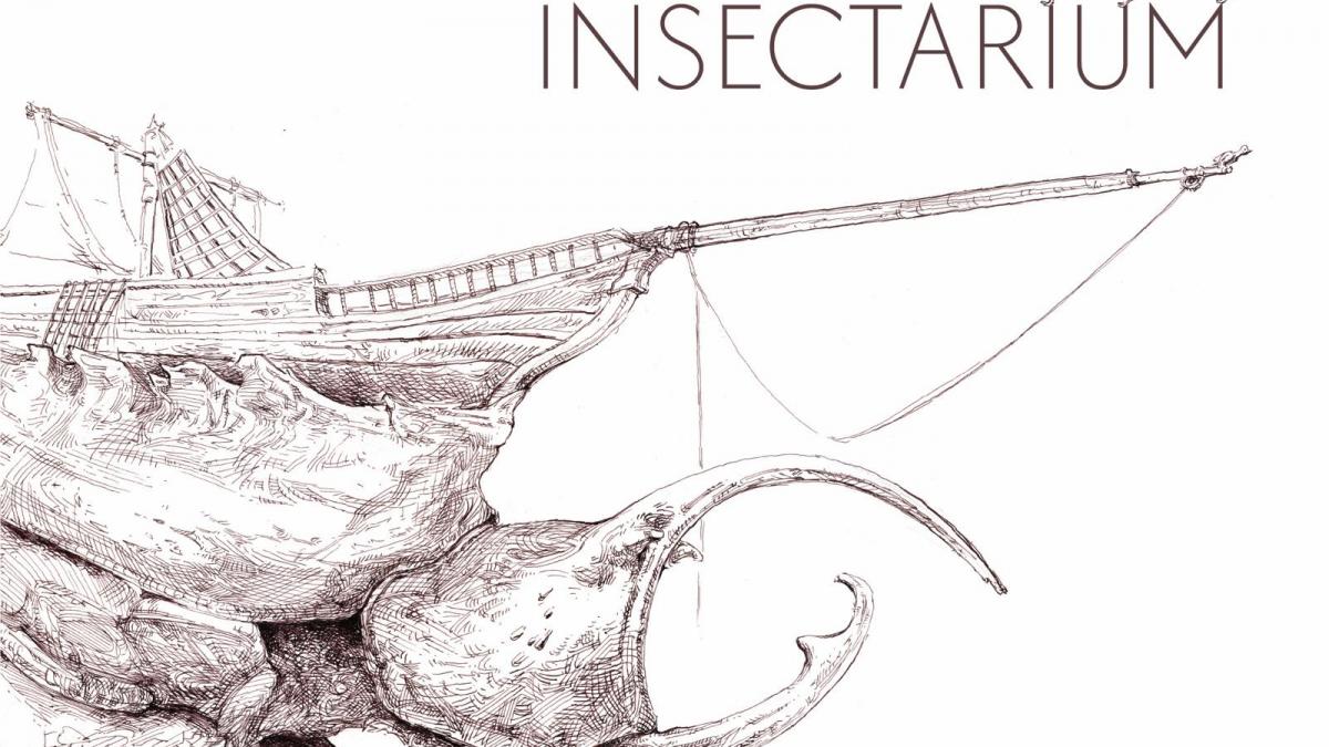 ​​​​​​​Expoziția „Insectarium” – un nou eveniment la Muzeul Național de Artă Timișoara