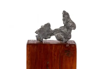 Licitarea figurinei „Le Crocodile” începe de la 3.000 de euro