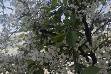 6 luni de naștere chemate la un nou început