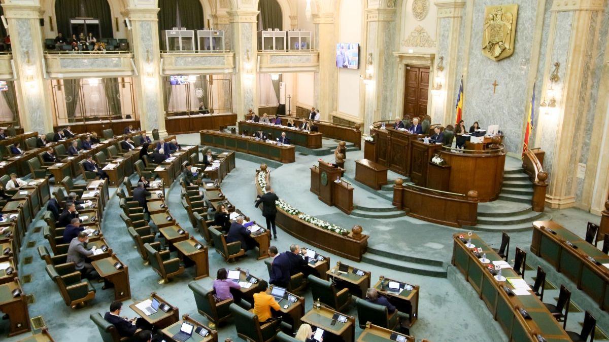 Senatul a votat legea PSD care oprește „vânzarea accelerată” a companiilor de stat