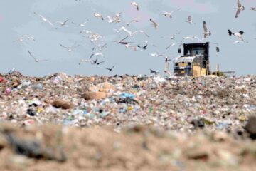Amenzi de peste un milion de lei după controalele Gărzii de Mediu la gropile de gunoi
