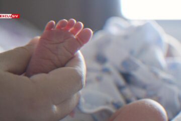 Bursa neagră a mamelor surogat