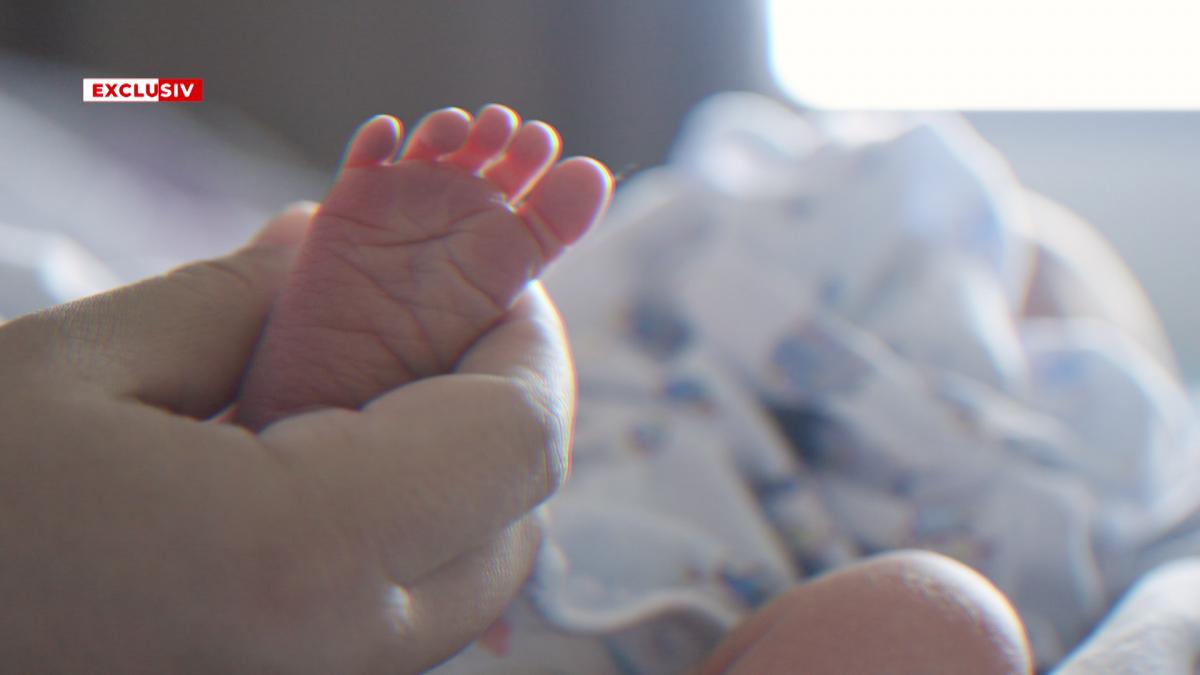 Bursa neagră a mamelor surogat